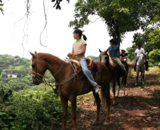Cabalgatas guiadas